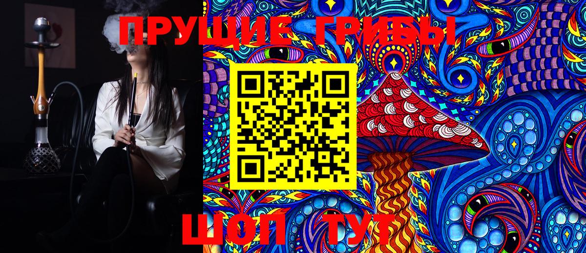 Псилоцибиновые грибы MAGIC MUSHROOMS  Вход с VPN  Псилоцибиновые грибы Cubensis  Сызрань 