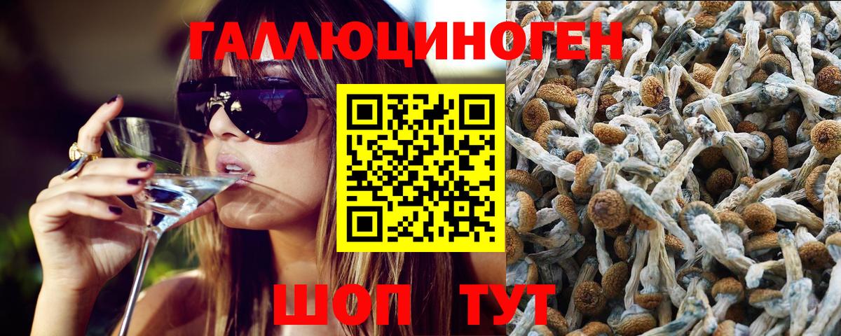 Псилоцибиновые грибы ЛСД Сызрань